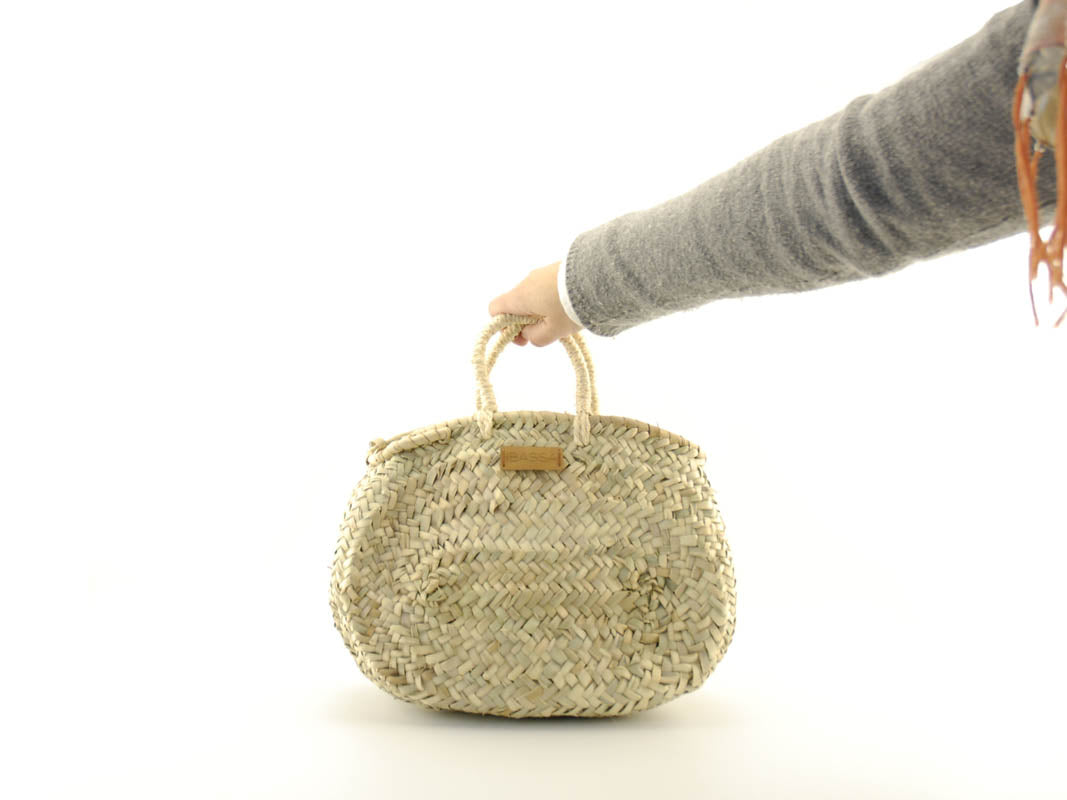 SIBYL mini